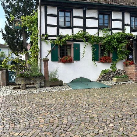 Exklusive Maisonette-Wohnung Am Rande Von Freiburg Merzhausen Exterior foto